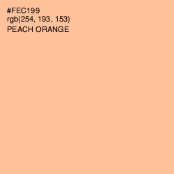 #FEC199 - Peach Orange Color Image